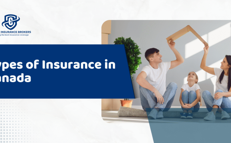 Types of Insurance in Canada