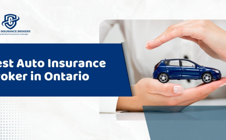  Best Auto Insurance Broker in Ontario