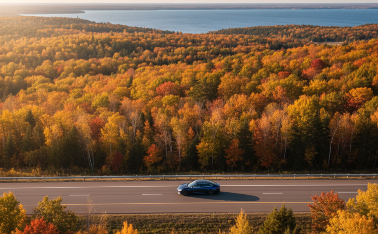 Ontario Auto Insurance Deductible Guide: Choose Wisely in 2026