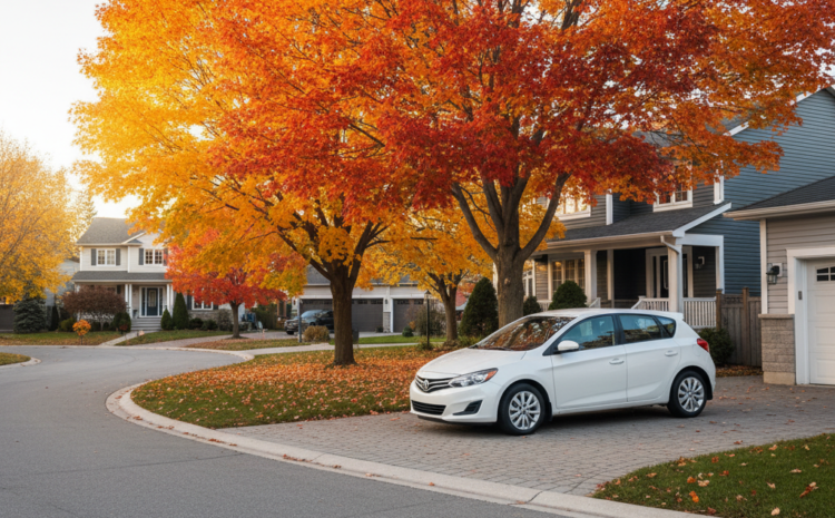  CAA Auto Insurance Guide: Save Money and Stress (2026)